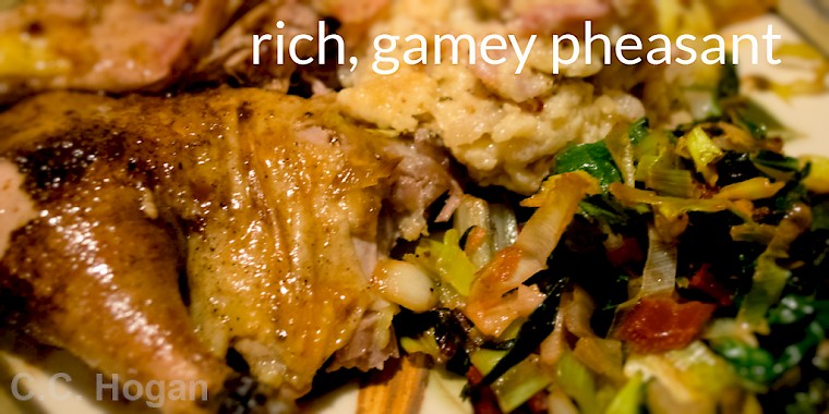 Roasted Pheasant with Bread Sauce and chard