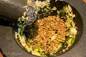 Spices and Garlic mix